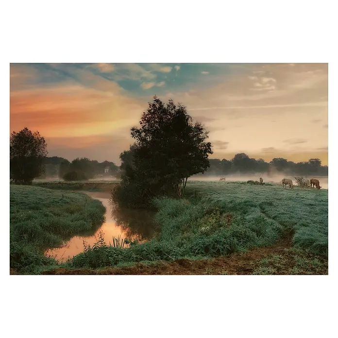 Papermoon Premium collection Fototapete Nebliger Traum - B x H: 200 x 149 cm, Vlies - Idyllische Morgenszene mit Kühen am Flussufer, nebliger Dunst und warmes Licht. Die sanfte Ruhe der Natur wird in diesem Landschaftsbild eingefangen.