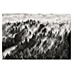 Papermoon Premium collection Fototapete Baumspitzen (B x H: 400 x 260 cm, Vlies) | BAUHAUS