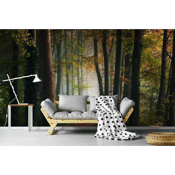 Papermoon Premium collection Fototapete Der bunte Wald des Herbstes (B x H: 250 x 186 cm, Vlies) | BAUHAUS