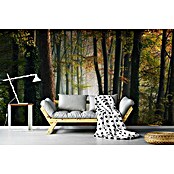 Papermoon Premium collection Fototapete Der bunte Wald des Herbstes (B x H: 250 x 186 cm, Vlies) | BAUHAUS