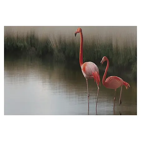 Papermoon Premium collection Fototapete Flamingopaar