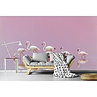 Papermoon Premium collection Fototapete Flamingos (B x H: 350 x 260 cm, Vlies)