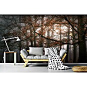 Papermoon Premium collection Fototapete Mystische Waldaura (B x H: 500 x 280 cm, Vlies) | BAUHAUS