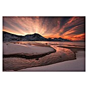 Papermoon Premium collection Fototapete Gold Sonnenuntergang (B x H: 450 x 280 cm, Vlies) | BAUHAUS