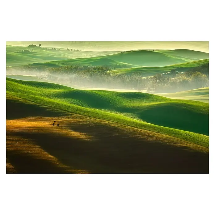 Papermoon Premium collection Fototapete Freiheit - B x H: 500 x 280 cm, Vlies - Grüne Hügellandschaft in der Toskana mit goldenen Akzenten und zwei Rehen im Vordergrund. Sanfte Hügel und friedliche Atmosphäre.