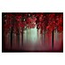 Papermoon Premium collection Fototapete Aus Liebe Wald Rot 