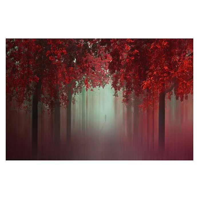 Papermoon Premium collection Fototapete Aus Liebe Wald Rot - B x H: 450 x 280 cm, Vlies - Mystischer Waldweg mit roten Blättern und einer einsamen Gestalt im Nebel, der eine geheimnisvolle Atmosphäre schafft.