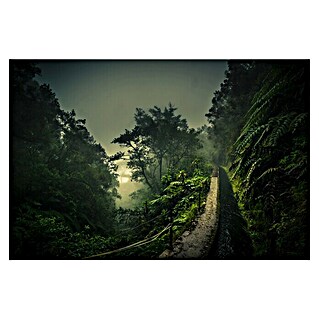 Papermoon Premium collection Fototapete Levada Walk (B x H: 400 x 260 cm, Vlies)