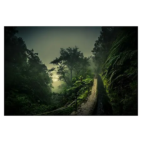 Papermoon Premium collection Fototapete Levada Walk