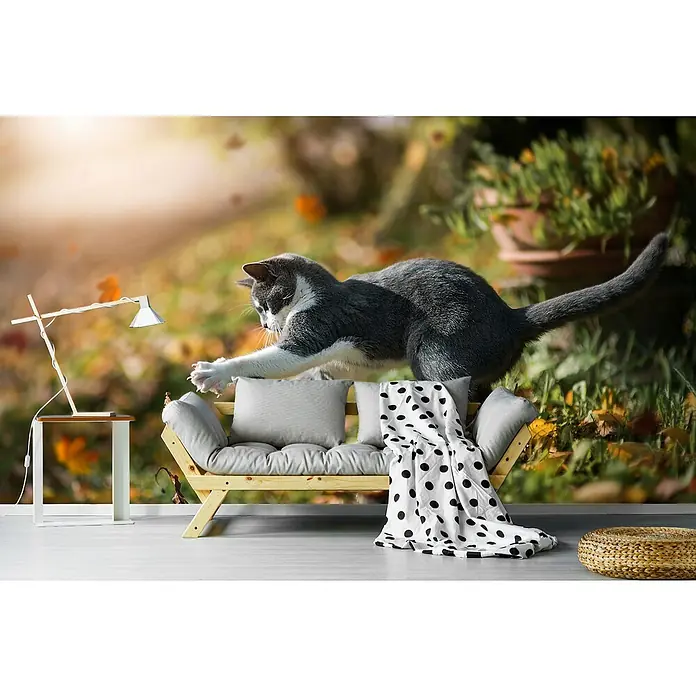 Papermoon Premium collection Fototapete Herbstspiel - B x H: 350 x 260 cm, Vlies - Katzen-Wandbild: Verspielte Katze auf Couch mit Lampe und Hocker vor Garten-Hintergrund für stilvolle Wohnräume.