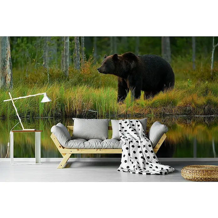 Papermoon Premium collection Fototapete Bär und Fisch - B x H: 500 x 280 cm, Vlies - Wohnzimmer-Wandbild mit einem Bären in der Wildnis als zentrales Motiv, ideal für naturnahe Raumgestaltung.