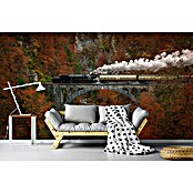 Papermoon Premium collection Fototapete Museumszug (B x H: 450 x 280 cm, Vlies) | BAUHAUS