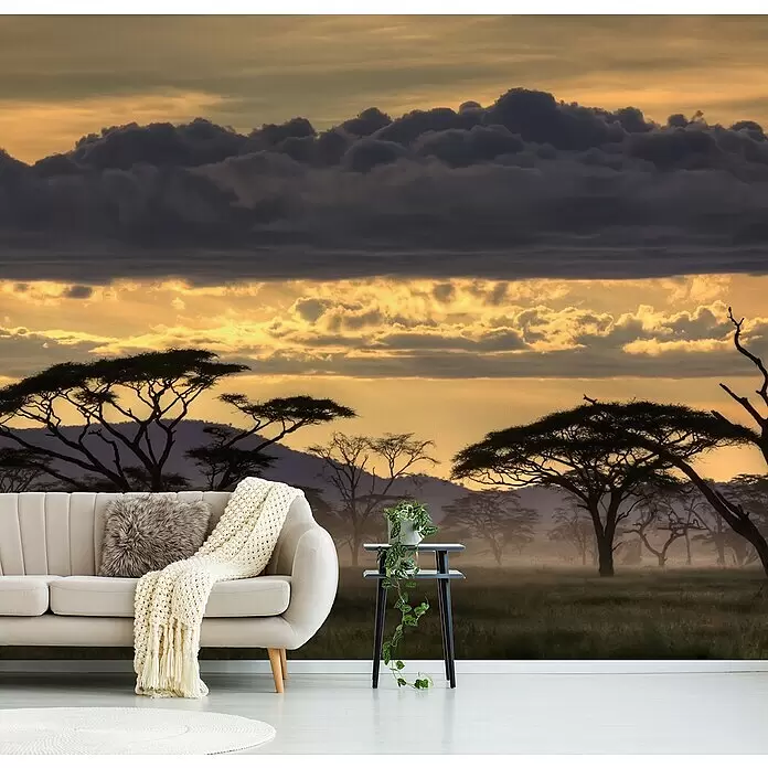 Papermoon Premium collection Fototapete Pinien in Savanne - B x H: 450 x 280 cm, Vlies - Wandbild mit Safari-Sonnenuntergang hinter beigem Sofa und Beistelltisch, mit dunklen Wolken und Akazienbäumen.