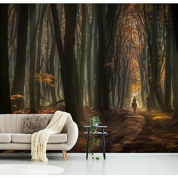 Papermoon Premium collection Fototapete Frühe Reiten - B x H: 400 x 260 cm, Vlies - Wandbild mit nebligem Herbstwaldweg und zwei Reitern, das dem modernen Wohnzimmer eine ruhige, natürliche Atmosphäre verleiht.