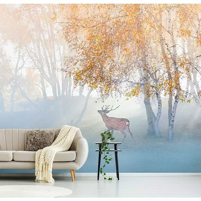 Papermoon Premium collection Fototapete Elch Nebel verloren - B x H: 500 x 280 cm, Vlies - Herbstliches Waldwandbild mit Birkenbäumen und Hirsch an Wohnzimmerwand hinter beigem Sofa und Pflanzentisch.