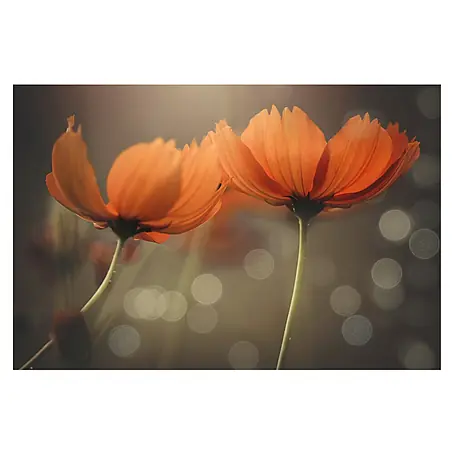 Papermoon Premium collection Fototapete Freunde