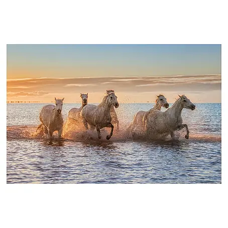 Papermoon Premium collection Fototapete Camargue-Pferde II