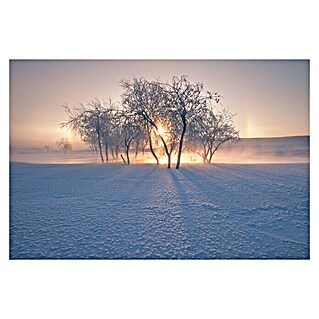 Papermoon Premium collection Fototapete Schneelandschaft Winter (B x H: 500 x 280 cm, Vlies)