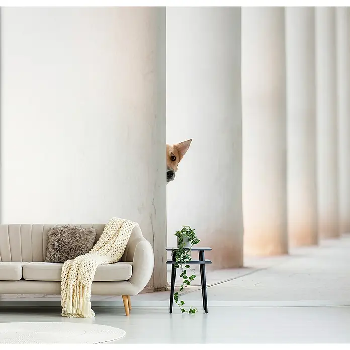 Papermoon Premium collection Fototapete Bella Säulen Erde - B x H: 300 x 223 cm, Vlies - Helle Wandtapete mit einem neugierigen Hund, der hinter einer Säule hervorlugt. Ein stilvolles und verspieltes Design für moderne Wohnräume.