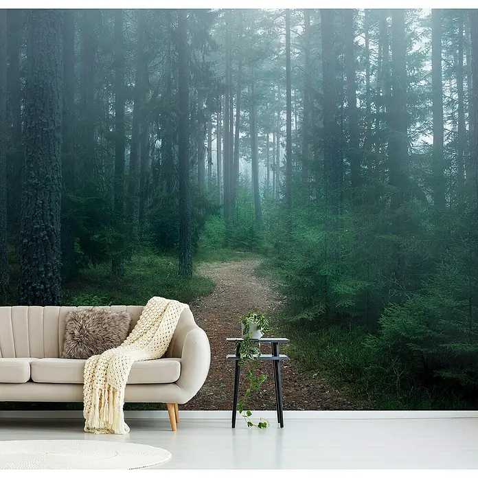 Papermoon Premium collection Fototapete Verwunschener Wald - B x H: 250 x 186 cm, Vlies - Ein gemütliches Wohnzimmer mit einer Fototapete eines nebligen Waldes, die eine ruhige und natürliche Atmosphäre schafft.