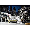 Papermoon Premium collection Fototapete Skipiste (B x H: 300 x 223 cm, Vlies) | BAUHAUS