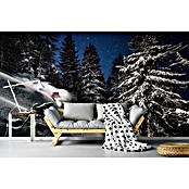Papermoon Premium collection Fototapete Skipiste (B x H: 400 x 260 cm, Vlies) | BAUHAUS