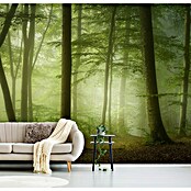 Papermoon Premium collection Fototapete Geheimnisvoller Frühling (B x H: 250 x 186 cm, Vlies) | BAUHAUS