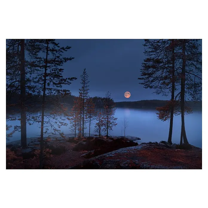 Papermoon Premium collection Fototapete Roter Mond - B x H: 500 x 280 cm, Vlies - Mondlicht erhellt eine ruhige Seenlandschaft, umrahmt von dunklen Bäumen und rotem Gestein, wodurch eine friedliche, fast magische Atmosphäre entsteht.