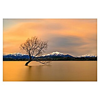 Papermoon Premium collection Fototapete Morgengrauen Lake Wanaka (B x H: 400 x 260 cm, Vlies)