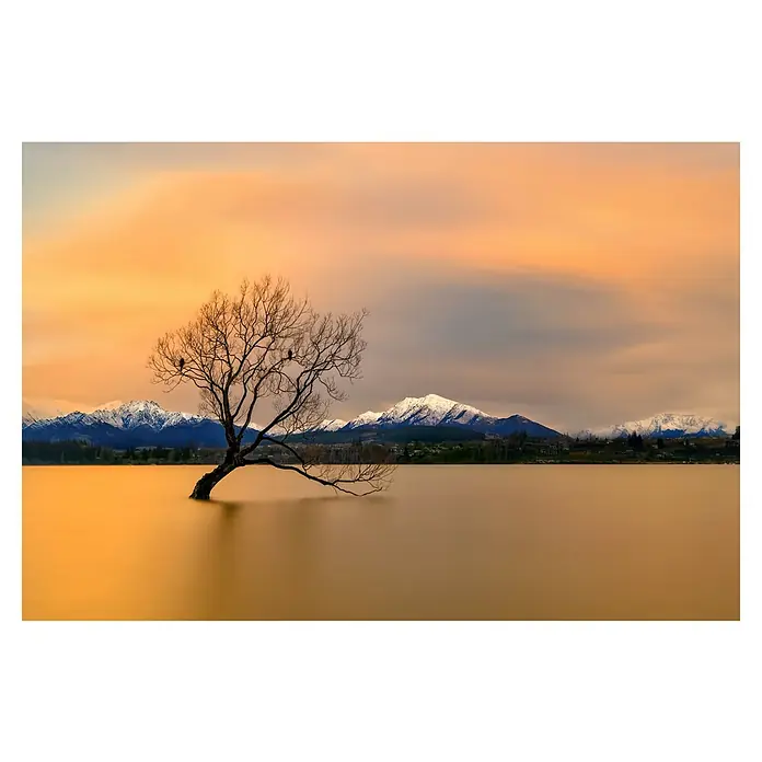Papermoon Premium collection Fototapete Morgengrauen Lake Wanaka - B x H: 250 x 186 cm, Vlies - Einsamer Baum ragt aus dem glatten Wasser mit verschneiten Bergen im Hintergrund, eingefangen in warmen Farbtönen bei Sonnenuntergang.