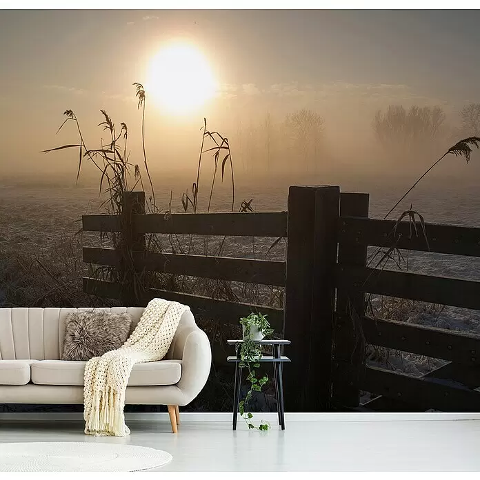 Papermoon Premium collection Fototapete Feld Wiese Gatter - B x H: 200 x 149 cm, Vlies - Wandtapete mit nebeligem Wintersonnenaufgang, heller Sonne, Schilf und rustikalem Holzzaun im Wohnzimmer.