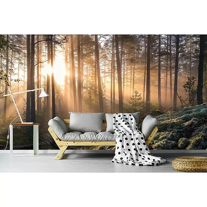 Papermoon Premium collection Fototapete Sonnenschein im nebligen Mooswald - B x H: 500 x 280 cm, Vlies - Holzsofa mit grauen Kissen und gepunkteter Decke in einem Raum mit Waldtapete.