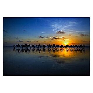 Papermoon Premium collection Fototapete Sunset Camel Ride (B x H: 300 x 223 cm, Vlies)