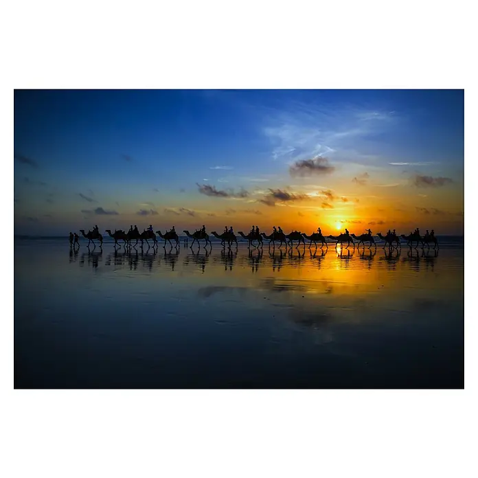 Papermoon Premium collection Fototapete Sunset Camel Ride - B x H: 350 x 260 cm, Vlies - Sonnenuntergang über den Kamelen: Eine Silhouette von Kamelen und ihren Reitern, die bei Sonnenuntergang am Strand entlangziehen.