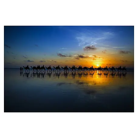 Papermoon Premium collection Fototapete Sunset Camel Ride