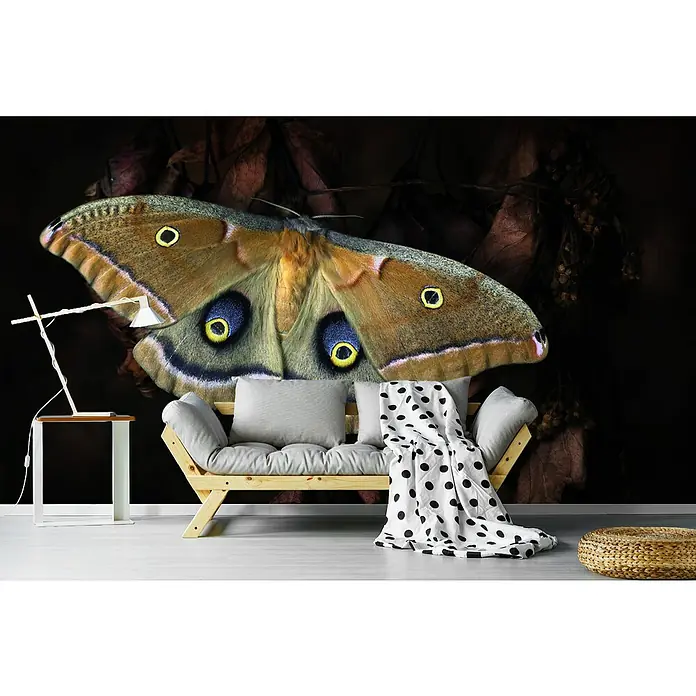 Papermoon Premium collection Fototapete Schmetterling - B x H: 400 x 260 cm, Vlies - Gemütliches Wohnzimmer mit einem Sofa und einem Wandbild mit einem großen Schmetterling. Die Lampe ist in Weiß gehalten und steht auf einem Tisch.