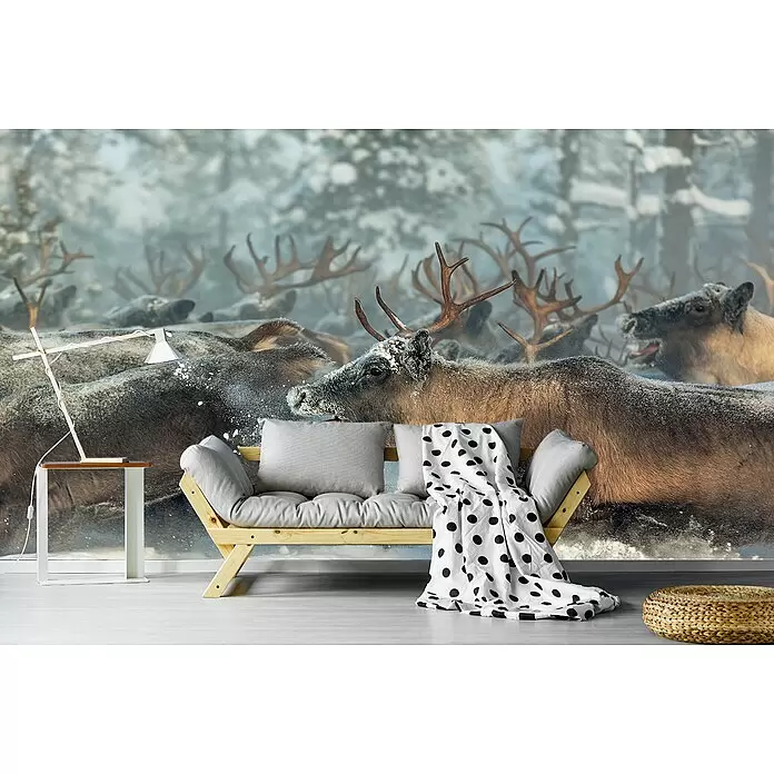 Papermoon Premium collection Fototapete Rentierrennen - B x H: 400 x 260 cm, Vlies - Ein gemütliches Holzsofa mit grauen Kissen und einer gepunkteten Decke in einem Raum mit Rentier-Wandbild.
