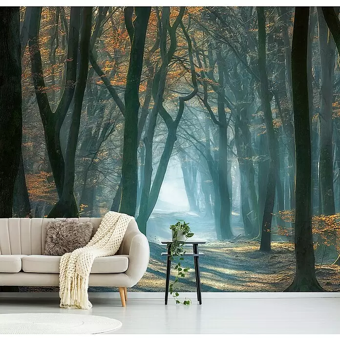 Papermoon Premium collection Fototapete Kaltes Licht im Wald - B x H: 200 x 149 cm, Vlies - Nebelwald-Wandbild an einer Wand hinter einem Sofa und Beistelltisch. Hohe Bäume und Lichtstrahlen schaffen eine tiefe, atmosphärische Szene.