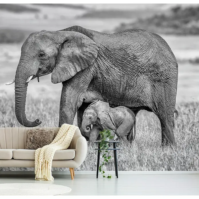 Papermoon Premium collection Fototapete Elefantenmutter mit Baby - B x H: 500 x 280 cm, Vlies - Dieses Wandbild zeigt eine Elefantenmutter mit ihrem Baby in Schwarz-Weiß, was eine ruhige und friedliche Atmosphäre schafft.