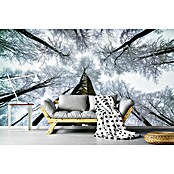 Papermoon Premium collection Fototapete Hoch schauen (B x H: 250 x 186 cm, Vlies) | BAUHAUS