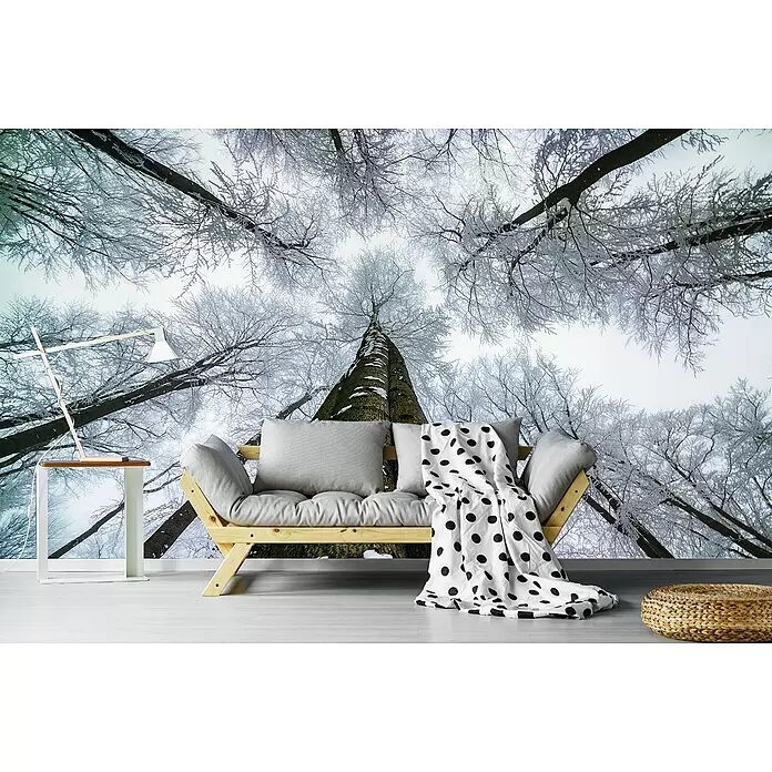 Papermoon Premium collection Fototapete Hoch schauen - B x H: 500 x 280 cm, Vlies - Ein helles Holzsofa mit grauen Kissen und einer gepunkteten Decke steht in einem Raum mit einer Winterwald-Wandmalerei.