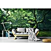 Papermoon Premium collection Fototapete Japanischer Baum (B x H: 300 x 223 cm, Vlies) | BAUHAUS
