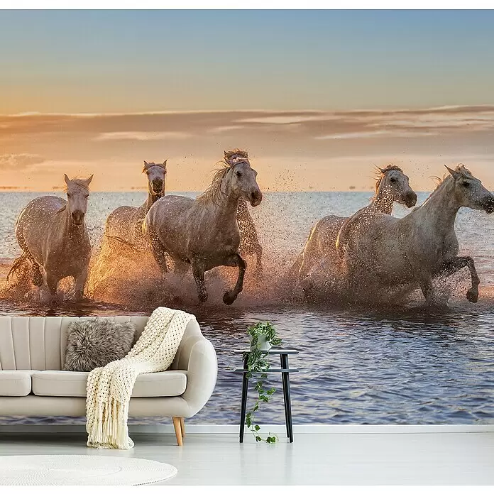 Papermoon Premium collection Fototapete Camargue-Pferde II - B x H: 250 x 186 cm, Vlies - Beiges Sofa mit Decke und Beistelltisch mit Pflanze vor Wildpferde-Wandbild.