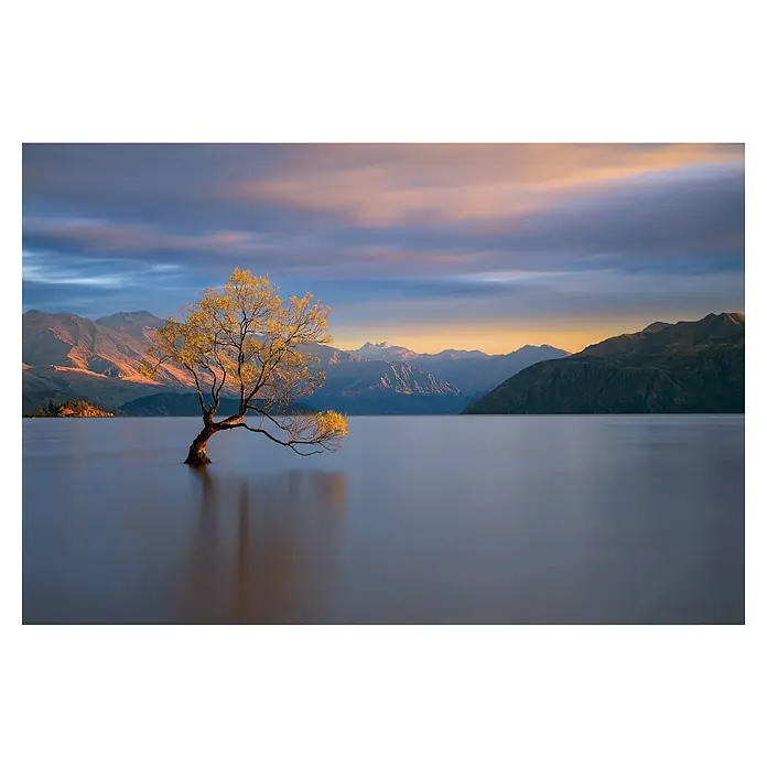 Papermoon Premium collection Fototapete Morgensglühen - B x H: 500 x 280 cm, Vlies - Ein einzelner Baum steht inmitten eines ruhigen Sees, umgeben von Bergen und einem farbenprächtigen Sonnenuntergang.