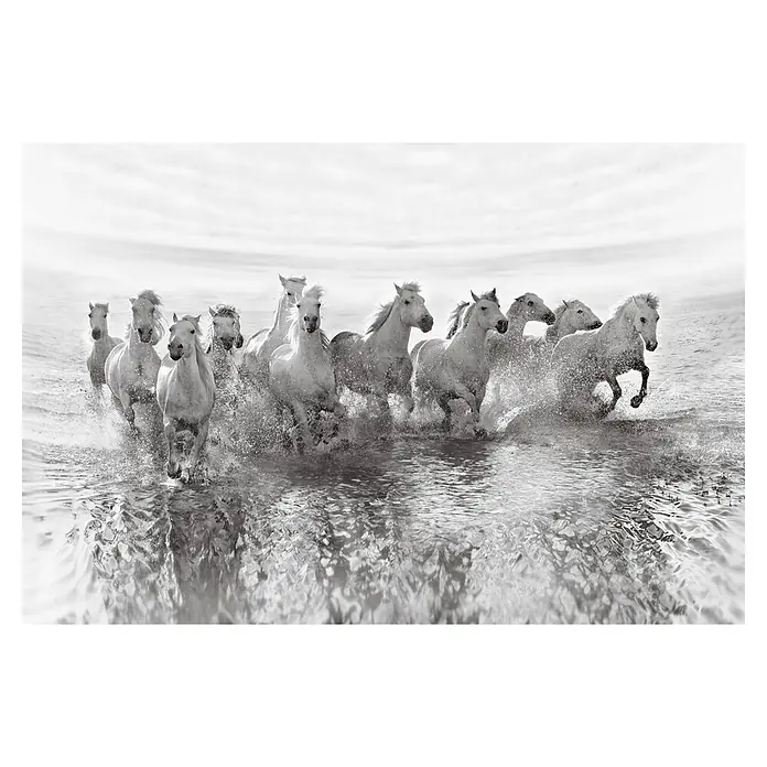 Papermoon Premium collection Fototapete Täuschung Macht - B x H: 250 x 186 cm, Vlies - Beeindruckendes Schwarz-Weiß-Foto einer Herde weißer Pferde, die durch das Wasser rennt. Das dynamische Bild fängt die Bewegung und Kraft der Tiere ein.