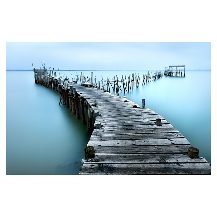 Papermoon Premium collection Fototapete Carrasqueira II (B x H: 400 x 260 cm, Vlies) | BAUHAUS