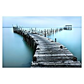 Papermoon Premium collection Fototapete Carrasqueira II (B x H: 400 x 260 cm, Vlies) | BAUHAUS