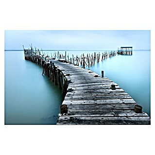 Papermoon Premium collection Fototapete Carrasqueira II (B x H: 400 x 260 cm, Vlies)