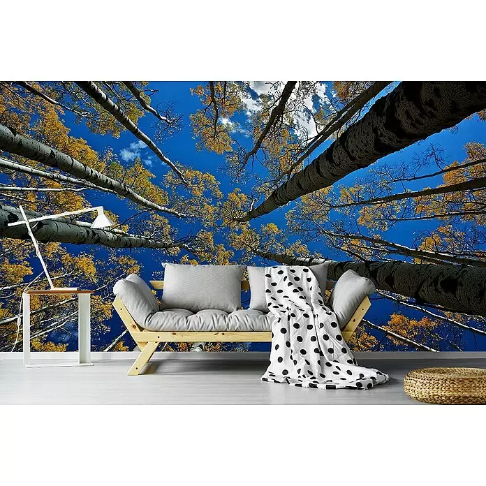 Papermoon Premium collection Fototapete Aspen's Fall - B x H: 250 x 186 cm, Vlies - Ein helles Holzsofa mit grauen Kissen, einer weiß gepunkteten Decke, einem weißen Beistelltisch mit Lampe und einem geflochtenen Pouf in einem Raum mit Naturwandbild.