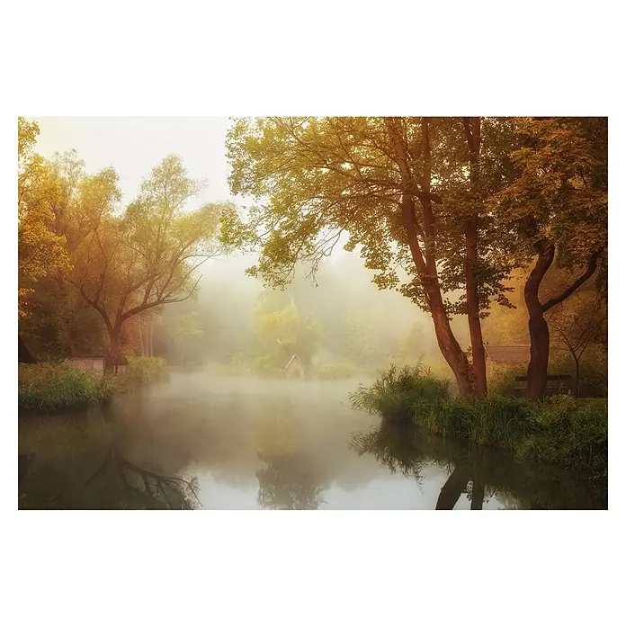Papermoon Premium collection Fototapete Nebeliger Herbst - B x H: 250 x 186 cm, Vlies - Ein friedlicher See im Morgennebel, umrahmt von Bäumen in herbstlichen Farbtönen, strahlt Ruhe und natürliche Schönheit aus.